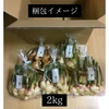 夏バテの食欲不振にも是非とも！千葉県産　新生姜　2kg