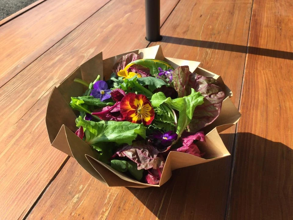 飛騨高山野菜『おおごっつぉ』お試しセット