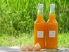 「飲む宝石」オレンジチェリー（食用ほおずき）100％ジュース（600ml）