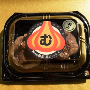 ぞみ様　専用出品　黒ニンニク