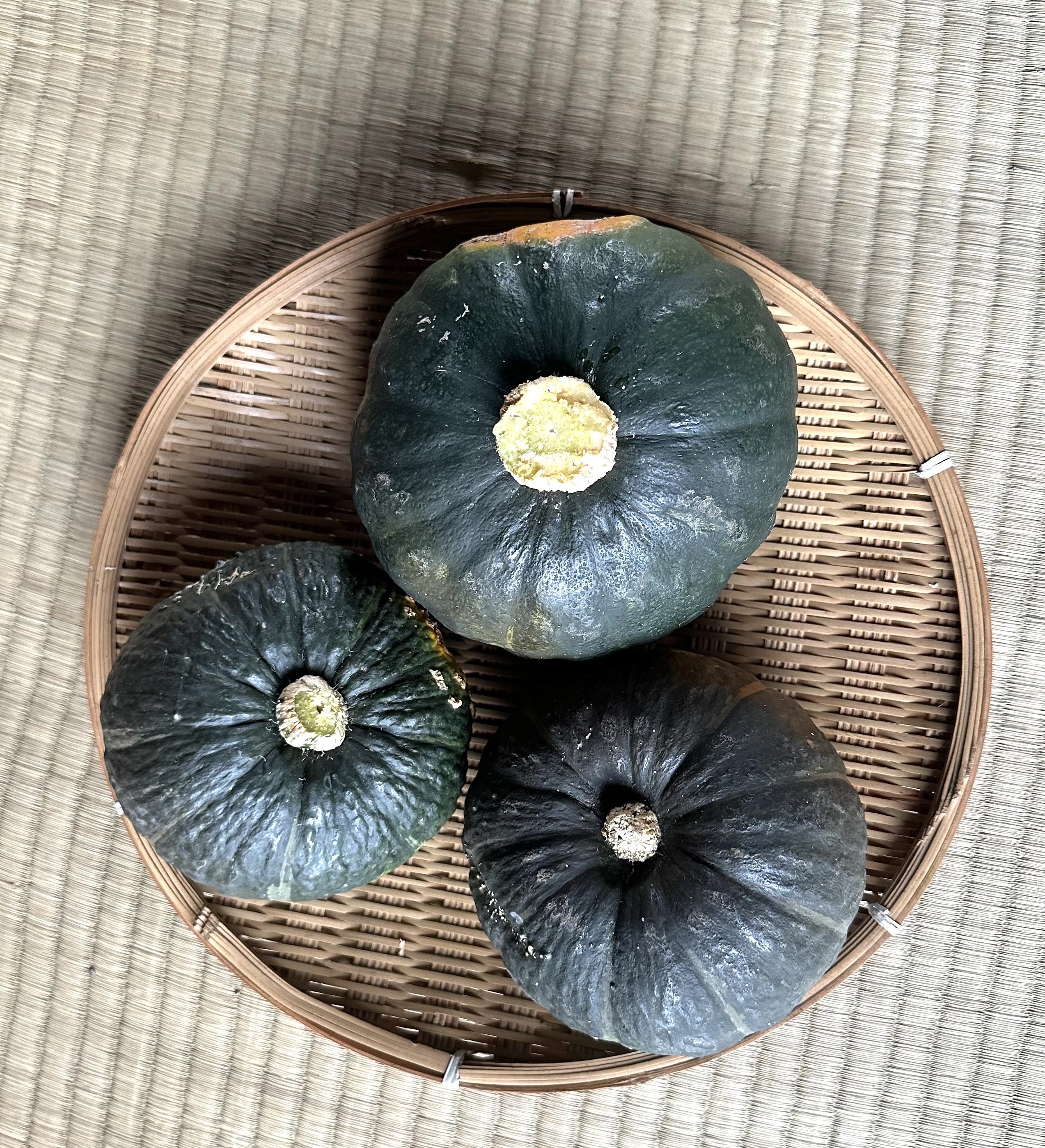 坊ちゃん かぼちゃの産直通販・お取り寄せ商品｜ポケット