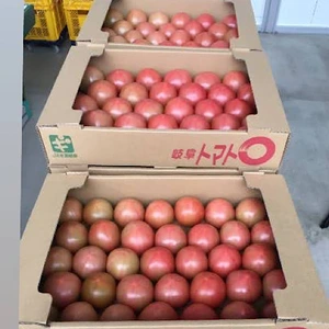 ポットファクトリー産の朝採れ当日出荷トマト ご家庭用L（20入り）
