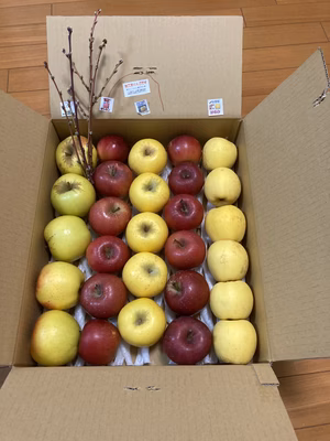 みんなの投稿の画像