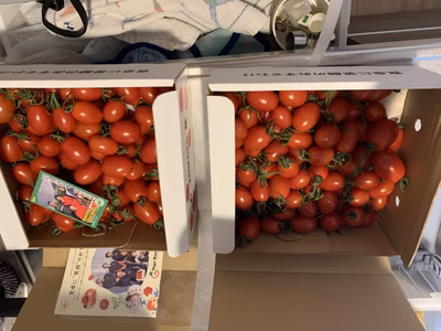 みんなの投稿の画像