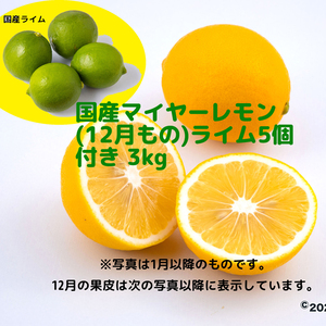 国産マイヤーレモン＋国産ライム5個セット(3kg)