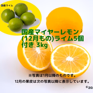 国産マイヤーレモン＋国産ライム5個セット(3kg)