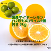 国産マイヤーレモン＋国産ライム5個セット(3kg)