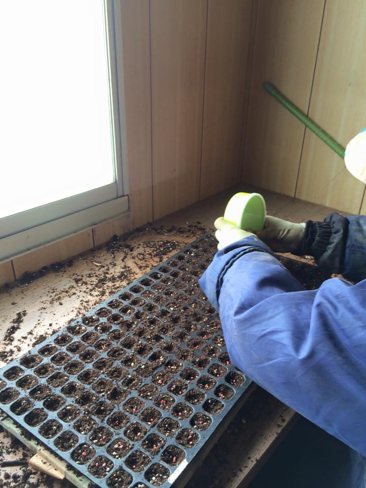 12654383_967303863359948_2715579800993747696_n