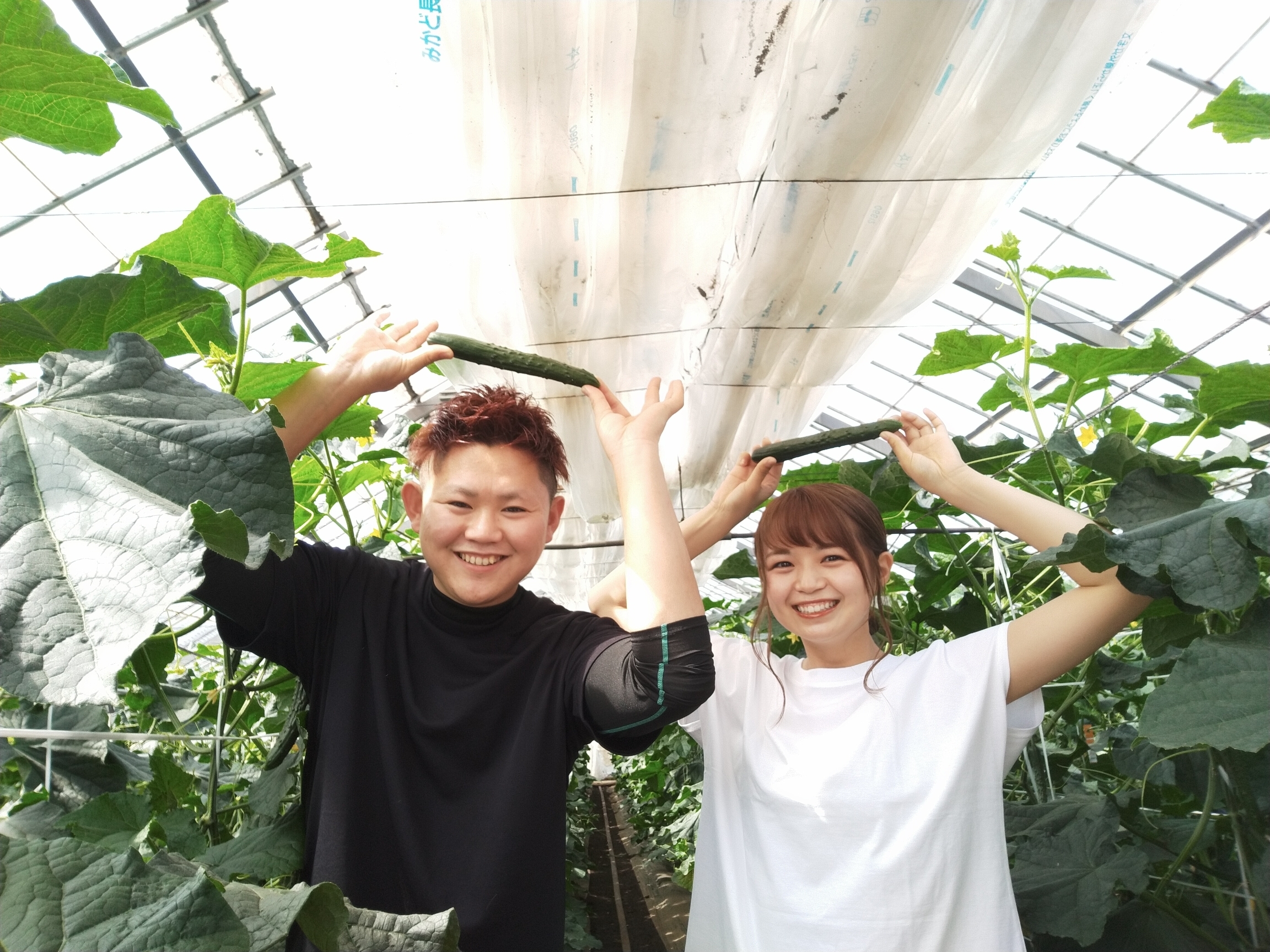 神奈川県綾瀬市|MineoFarm|峯尾昇汰さんの生産者プロフィール 神奈川県綾瀬市|MineoFarm|峯尾昇汰さんの生産者プロフィール