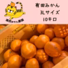 愛情たっぷりで育った有田みかん★温州みかん　3Lサイズ　約10ｋｇ