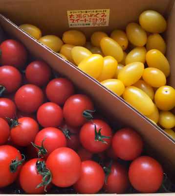 みんなの投稿の画像