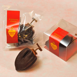 干し柿とチョコのハーモニー♪︎いちころチョコ【バレンタインにも】