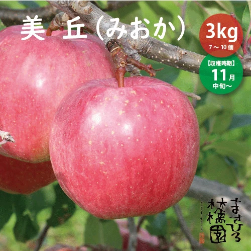【予約受付中！】青森県産りんご『美丘（みおか）』３kg