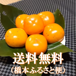 ※おすすめ！　たねなし柿(ひらたね・刀根) ご家庭用(9個）＜柿チャレンジ＞