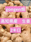 高知県産　生姜　2キロ