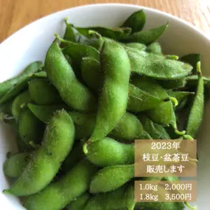 【期間限定】枝豆「盆茶豆」1.0KG 　農薬・肥料不使用