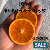 明日まで!!送料無料!! ありあけ《ご家庭用》小玉 オレンジ ネーブル みかん
