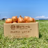 子どもたちがパクパク食べちゃう♪完熟たまねぎ＆新米コシヒカリセット
