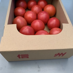 長野県産　※限定※信州トマトはじき品B品（2kg,4kg）