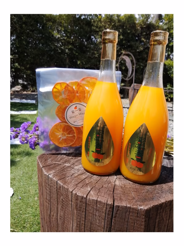 父の日】ドライ＆絞りたて❢１４度の【有田産】❢オリジナルみかんジュース 