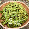 黒豆の枝豆（枝無し）【無農薬・無肥料】