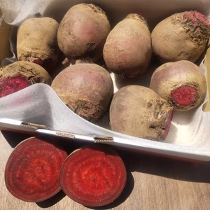 【群馬県産】ビーツ １kg【農薬化学肥料不使用】