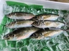 あじ！！　　1キロ