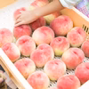 【緊急販売】はねだし桃13～18個【寄付】【貴重】
