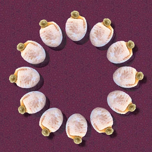 ⭕️今年もやるよ❗️送料550円⭕️　飯田HOSHI柿