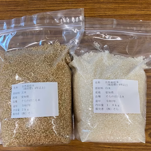 お試し価格　令和7年度産　自然栽培歴1-4年そらのホタル米（コシヒカリ系）白米