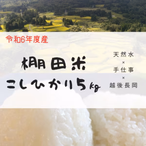 限定販売！　棚田米　こしひかり白米5ｋｇ　令和6年度　越後長岡一之貝産　