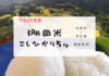 限定販売！　棚田米　こしひかり白米5ｋｇ　令和6年度　越後長岡一之貝産　