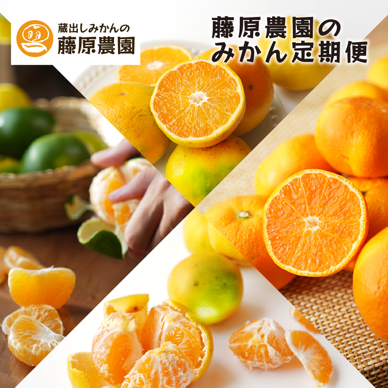 YN26の産直通販・お取り寄せ商品｜ポケットマルシェ｜産地直送で