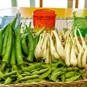 【うちなーむん】おつまみ野菜セット(1.5kg)