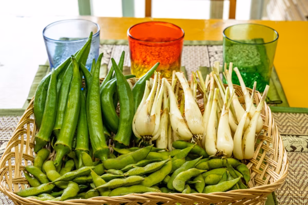 【うちなーむん】おつまみ野菜セット(1.5kg)