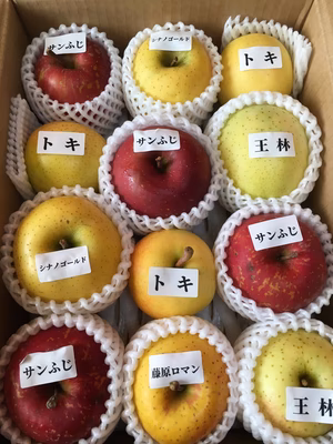 みんなの投稿の画像