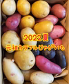 ★元祖カラフルじゃがいも★おいしい！新じゃが！！！【予約】