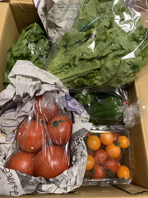 みんなの投稿の画像