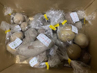 みんなの投稿の画像