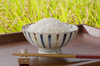 【特別栽培米】化学肥料一切使わない、もちもちコシヒカリ　令和　３年産