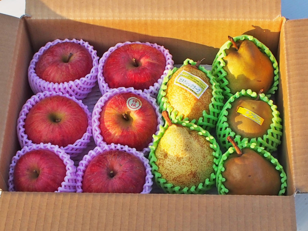 20袋】グラニースミス おやつ りんごチップス 干しりんご ドライ