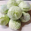【人気商品！】使い切り便利なミニキャベツ10kg