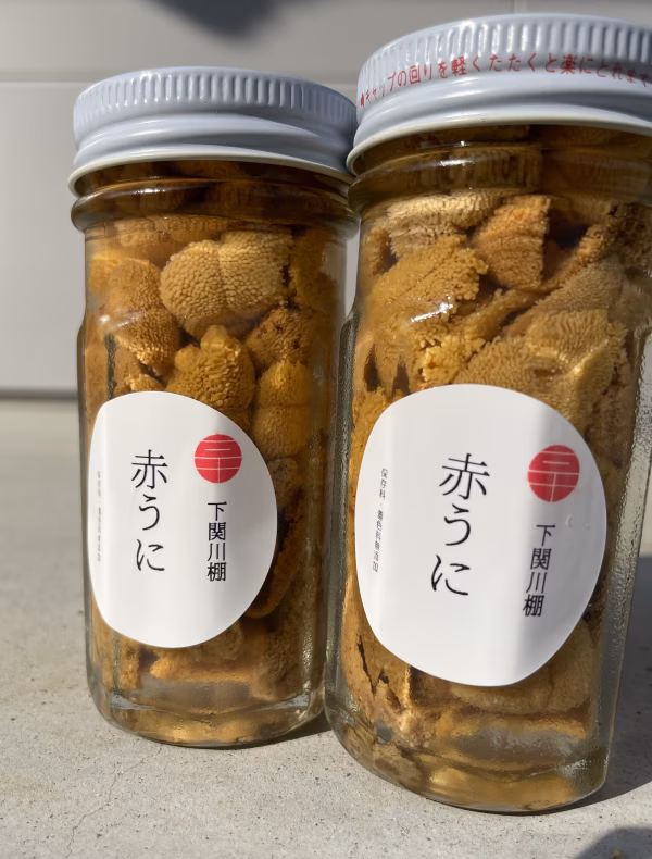 幻のウニ‼︎  「赤うに」　生でどうぞ❗️　塩水うに