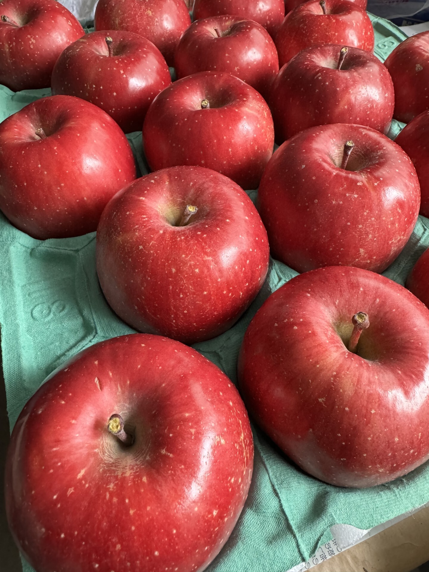 岩手県盛岡市産 家庭用完熟『サンふじ』3kg〜5kg サンふじ家庭用3kg8-12玉