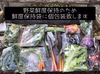 10/14〆切。畑お引越し [信州産] サラダ野菜セット 農カード付き