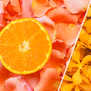 【温州みかん“かほる橘つ華”】