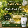 ＼PAPA CHA No.2／青パパイヤ酵素の王様ティー -パパイヤリーフ- 