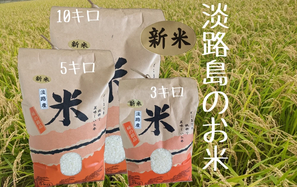 新米 淡路島「コシヒカリ」
