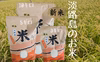 新米 淡路島「コシヒカリ」