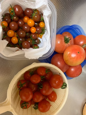 みんなの投稿の画像